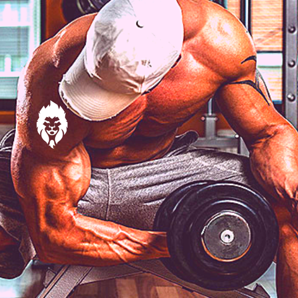Biceps sammandragning