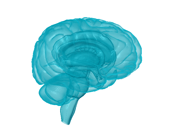 image d'un cerveau en 3d