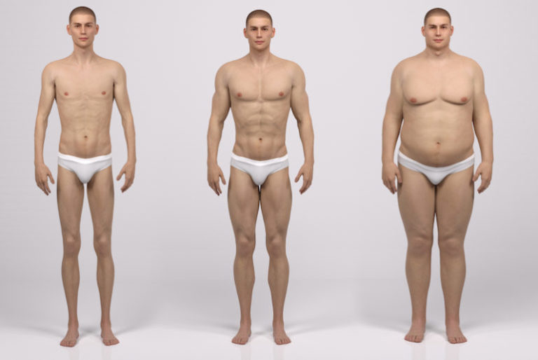les-trois-morphotypes-770x515