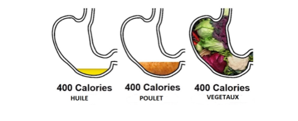 différence entre ce qu'on mange et ce qui se passe dans notre estomac.