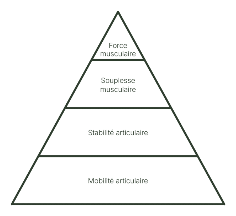 Pyramide des 4 piliers d’un corps en forme : mobilité articulaire, stabilité articulaire, souplesse musculaire et force musculaire