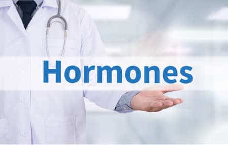 les hormones peuvent-être responsables de l'obésité.