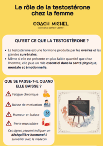 extrait du pdf sur le rôle de la testostérone chez la femme.